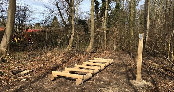Naturfitness Frøhop